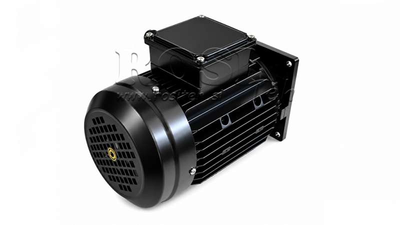 ERSATZMOTOR FÜR HYDRAULIKAGGREGAT 380V 0,75 kW