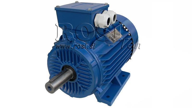 MOTOR ELÉCTRICO 2P B3 3F pies
