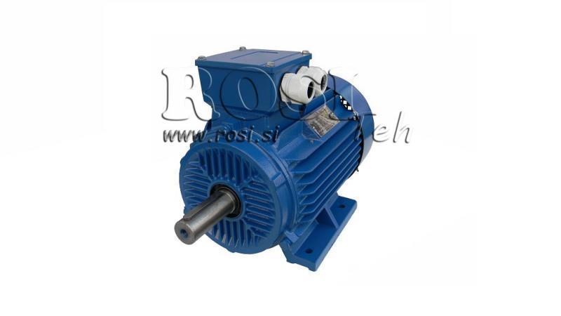 MOTOR ELECTRIC 2P B3 3F picioare
