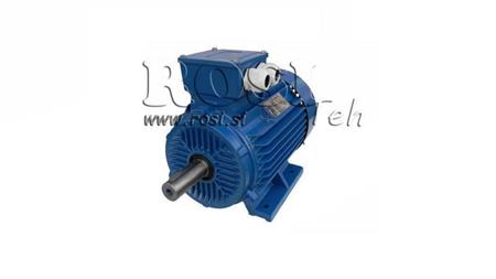 MOTOR ELÉTRICO 2P B3 3F pés