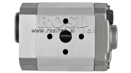 HÜDRAULIKAPUMP 10C2X179 GR.1 - 2cc - PAREM