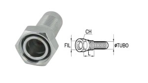 CONEXIONES-DKOS-FEMENINAS